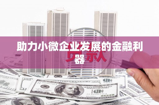 阜康助力小微企业发展的金融利器