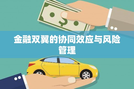 阜康金融双翼的协同效应与风险管理
