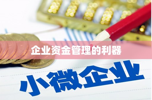 阜康企业资金管理的利器