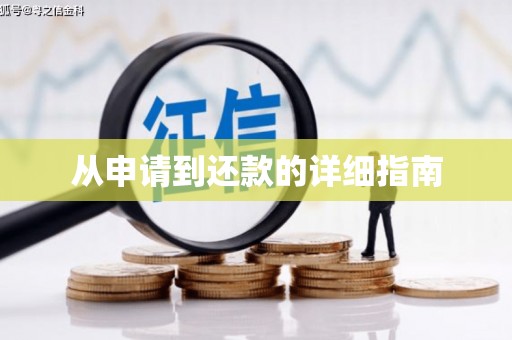 阜康从申请到还款的详细指南