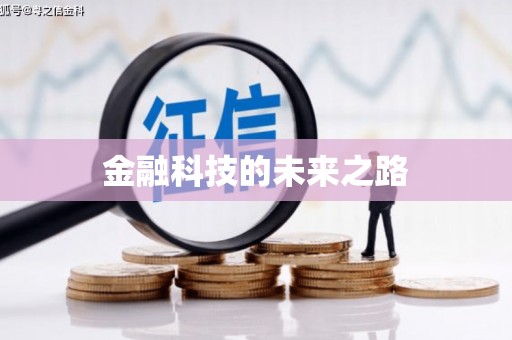 阜康金融科技的未来之路
