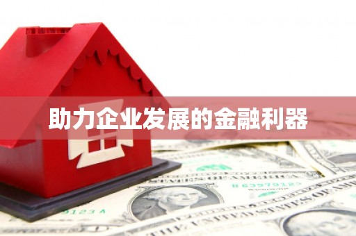 阜康助力企业发展的金融利器