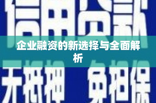 阜康企业融资的新选择与全面解析