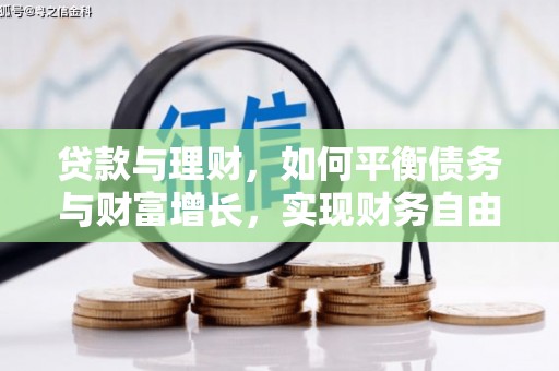 阜康贷款与理财，如何平衡债务与财富增长，实现财务自由