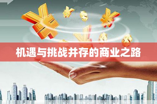 阜康机遇与挑战并存的商业之路