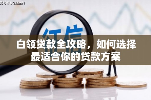 阜康白领贷款全攻略，如何选择最适合你的贷款方案