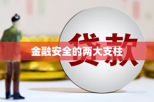 阜康金融安全的两大支柱