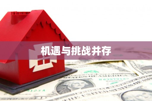 阜康机遇与挑战并存