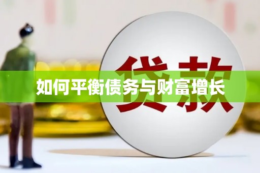 阜康如何平衡债务与财富增长