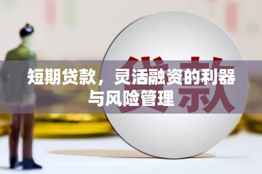 阜康短期贷款，灵活融资的利器与风险管理