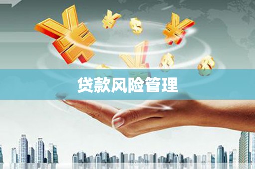 阜康贷款风险管理