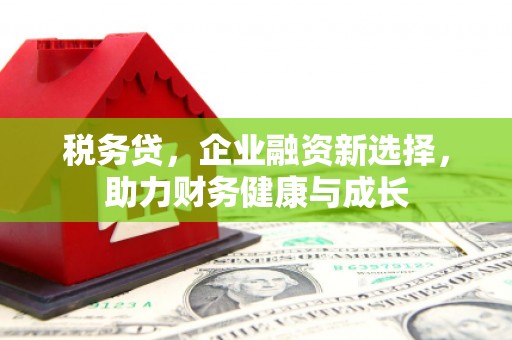 阜康税务贷，企业融资新选择，助力财务健康与成长
