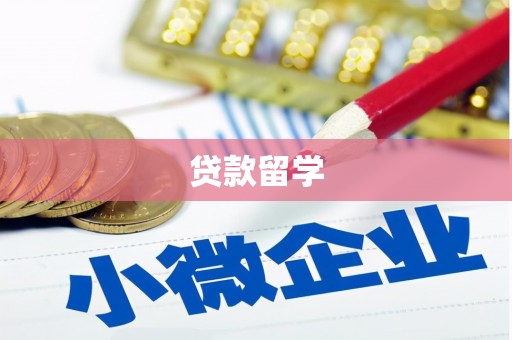 阜康贷款留学