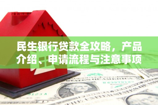 阜康民生银行贷款全攻略，产品介绍、申请流程与注意事项