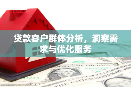 阜康贷款客户群体分析，洞察需求与优化服务