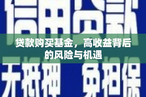 阜康贷款购买基金，高收益背后的风险与机遇