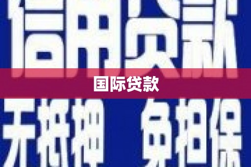 阜康国际贷款